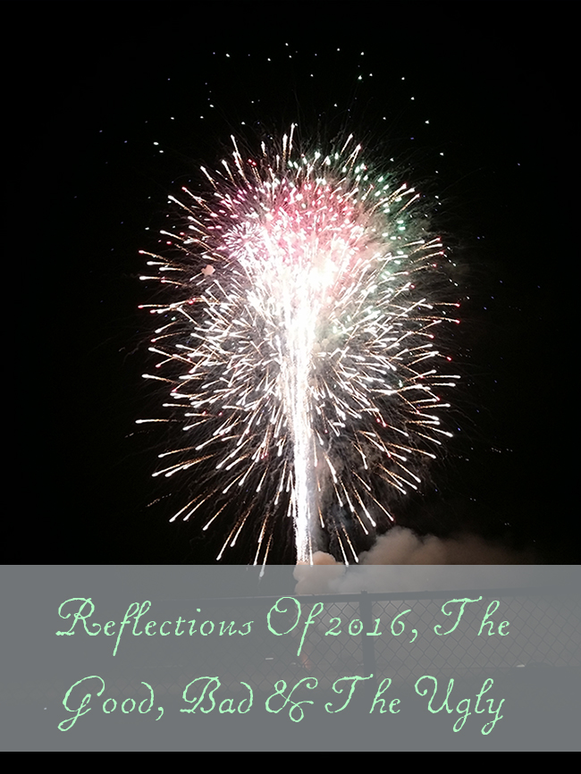 Reflections Of 2016, The Good, Bad & The Ugly